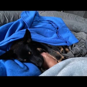 Meet your Posher, Tyler